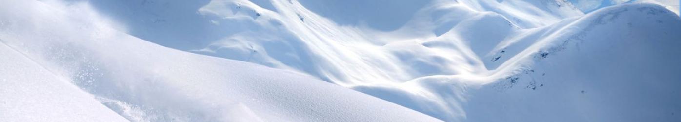 spot ski freeride