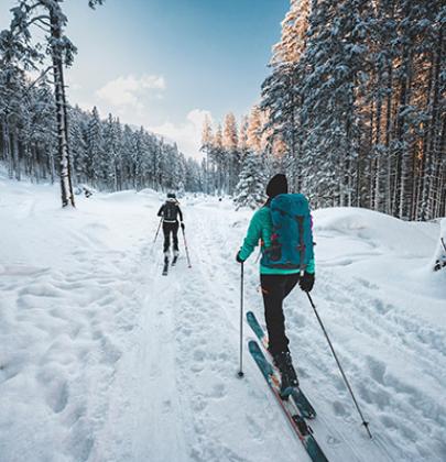 freeride - entretien ski
