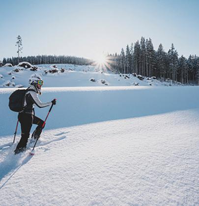 freeride - fast pass
